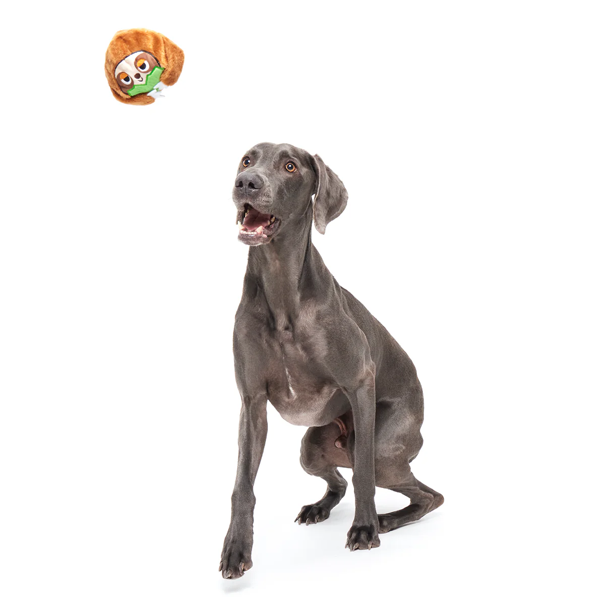 Sonny the Sloth Super Chewer Durable 2-in-1 Rip and Reveal + Fetch Dog Toy - Image 5