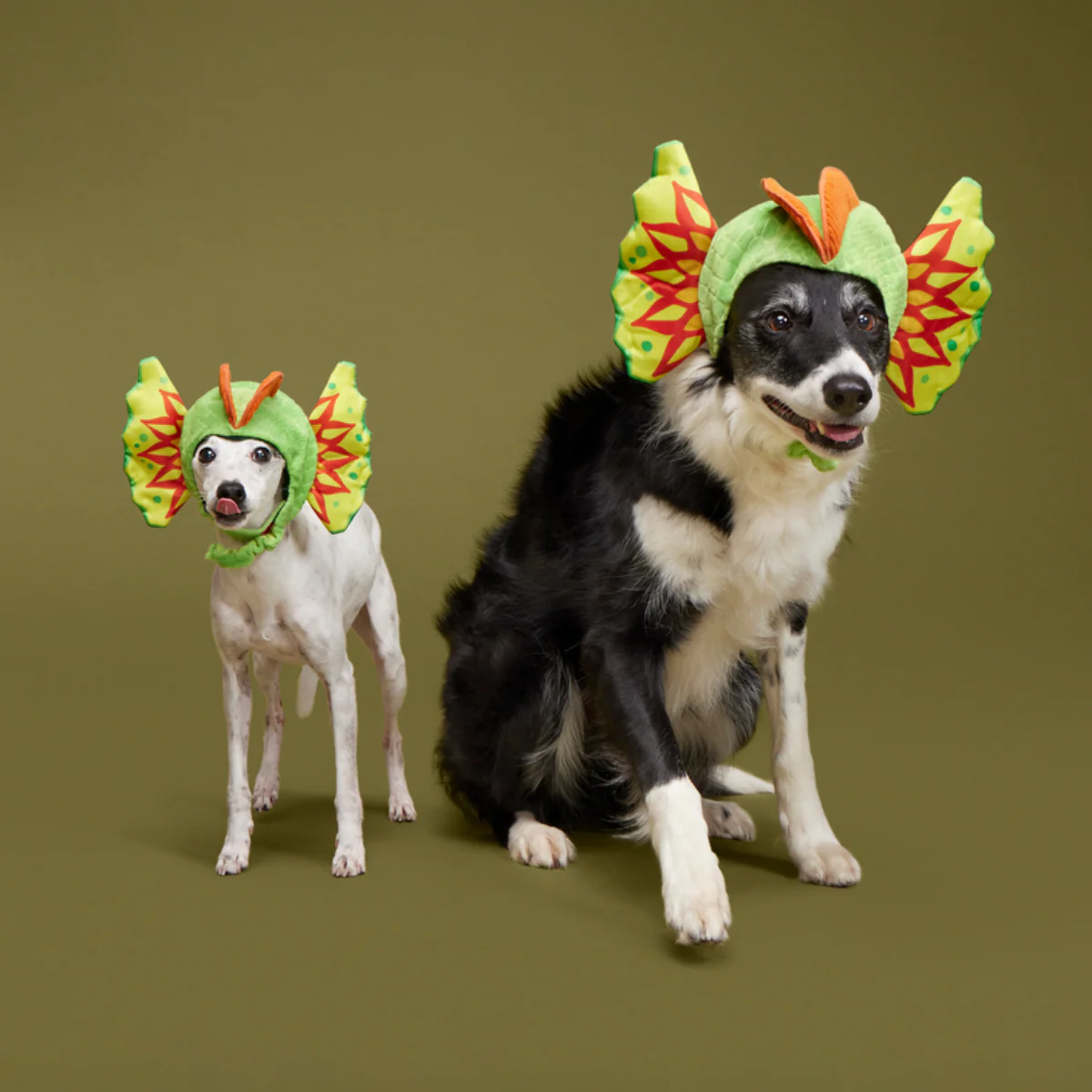 Spittin' Image Dino Collar Plush Wearable Dog Toy - Image 2