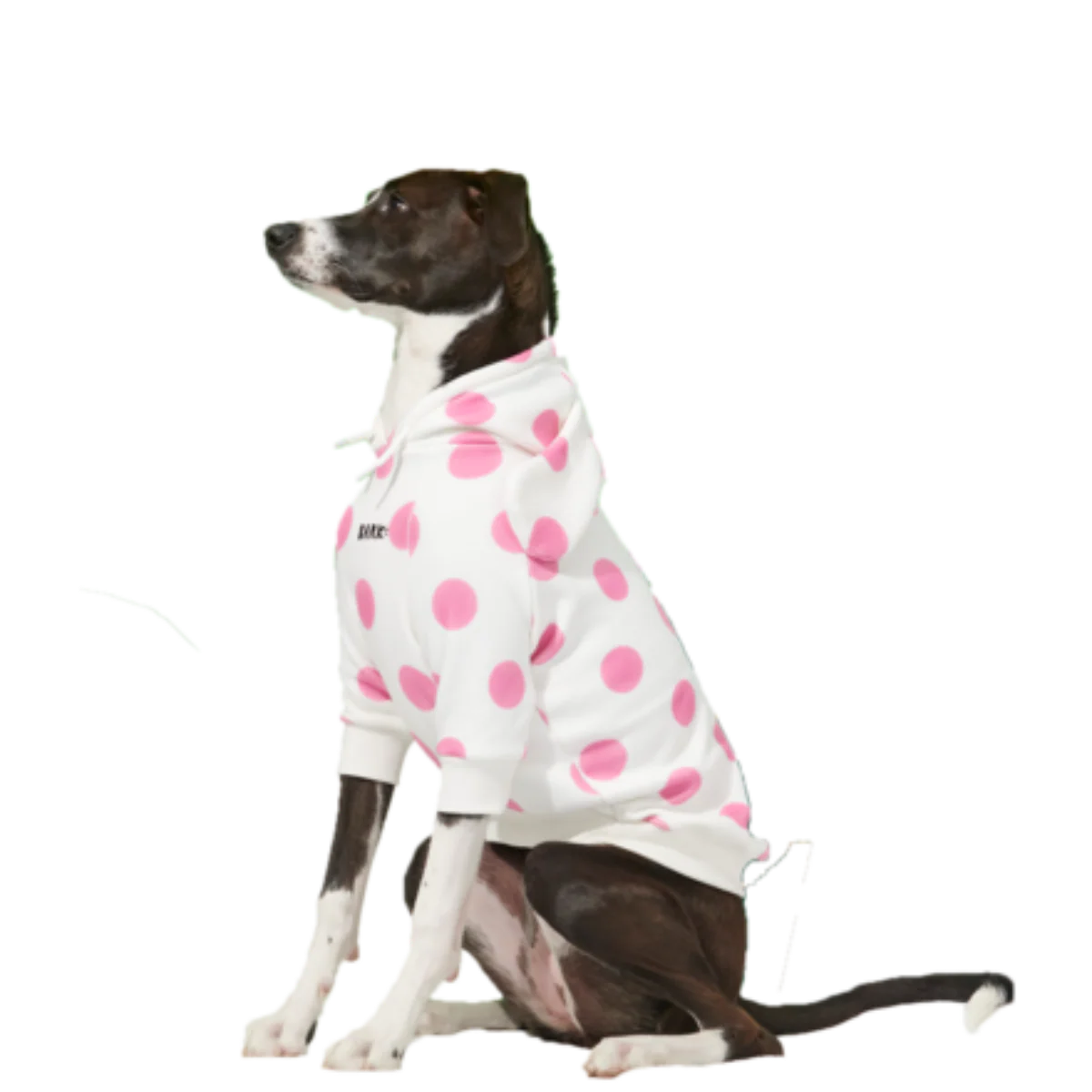 Spotted Elephant™ Dog Hoodie - Image 5
