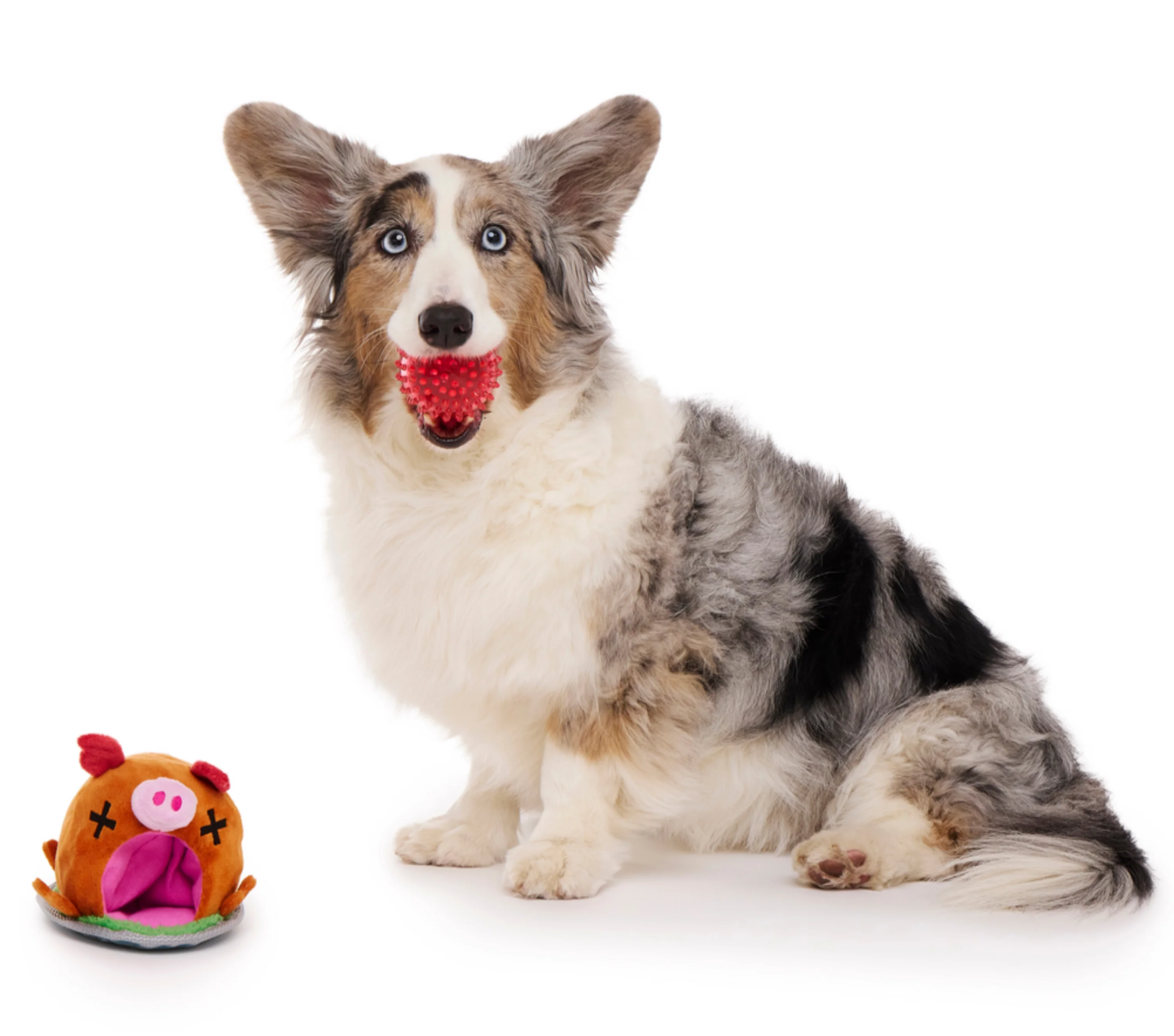 Squeakling Pig Plush Multi-Part + Enrichment + Fetch Dog Toy - Image 5