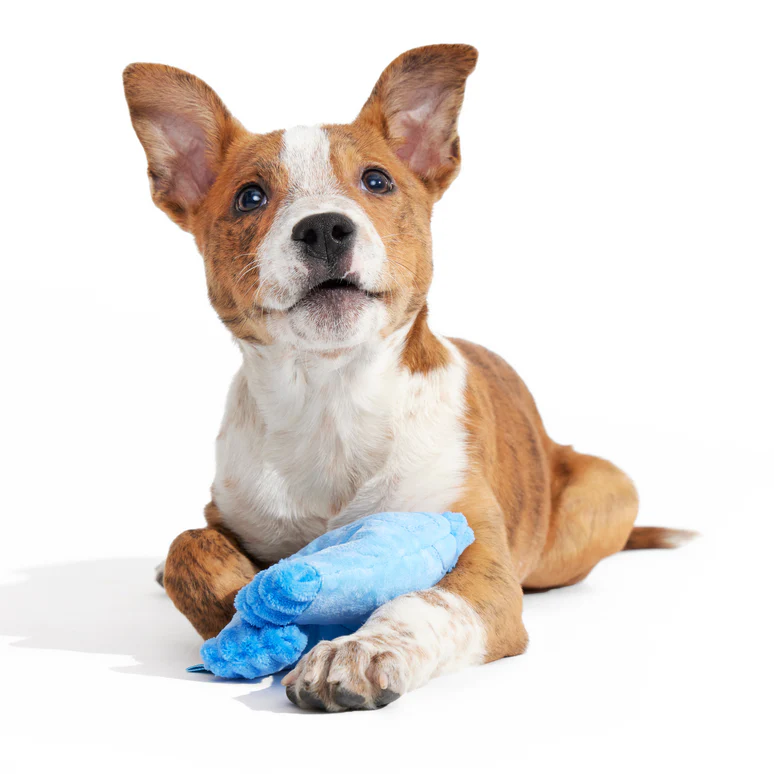 Squeaky Clean Mom Jeans Plush Tug Dog Toy - Image 5