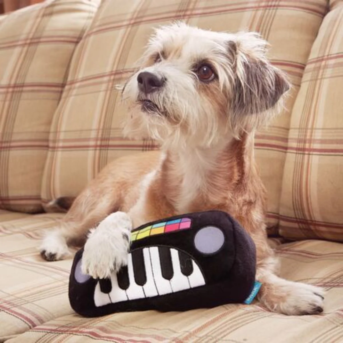 Squeaky Wonder Keyboard Plush Dog Toy - Image 2