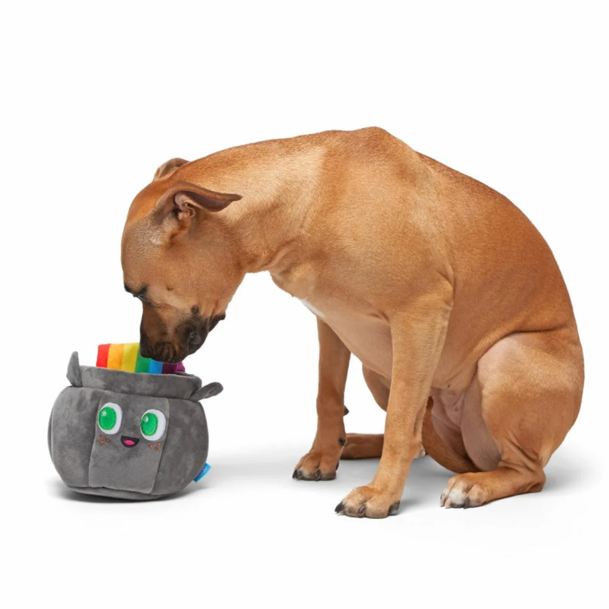St. Pup's Pot o' Gold Plush Tug Dog Toy - Image 2