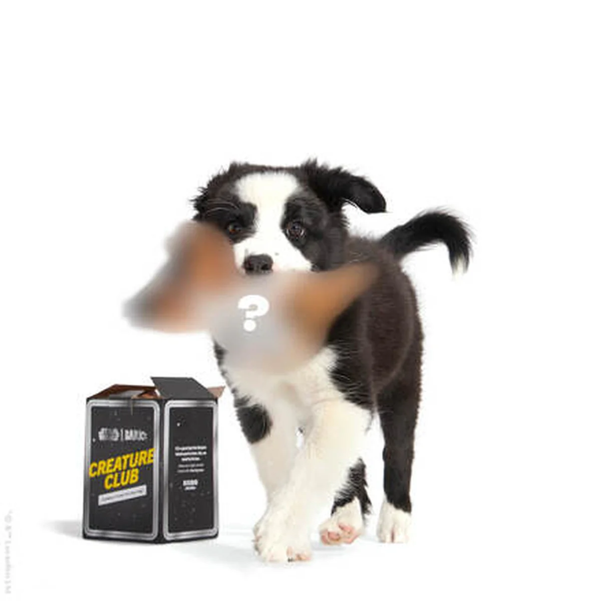 Star Wars™ Creature Club, Plush Monthly Dog Toys - Image 2