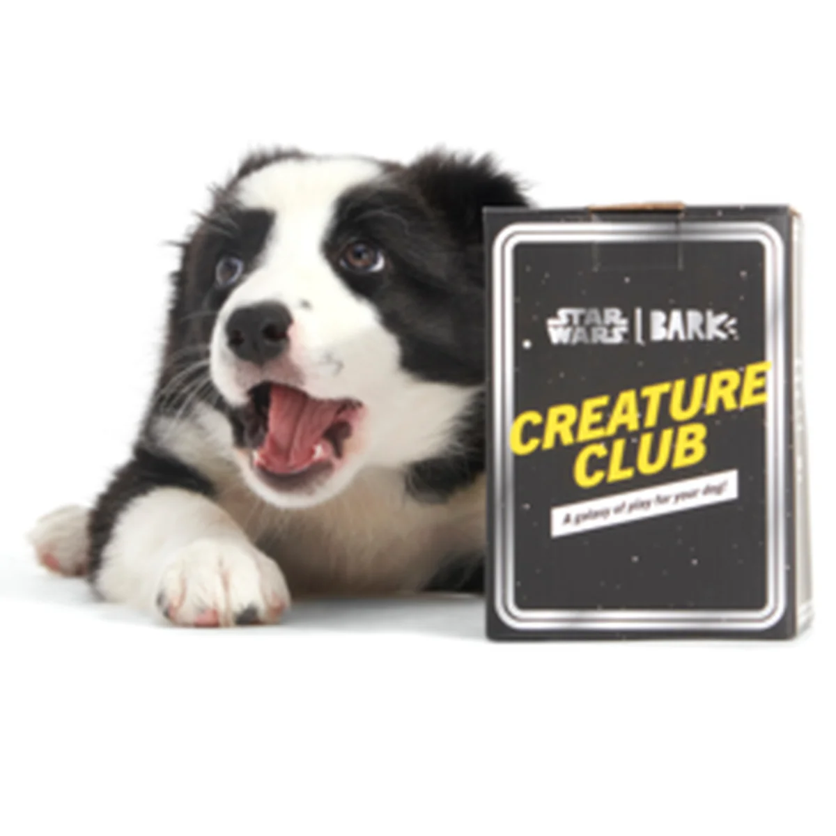 Star Wars™ Creature Club, Plush Monthly Dog Toys - Image 3
