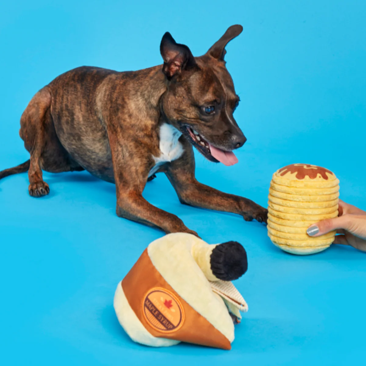 Sticky Paws Maple Syrup Plush 2-in-1 Rip and Reveal Dog Toy - Image 2