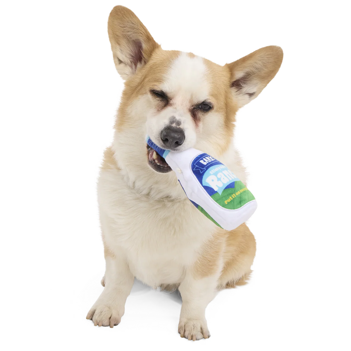 Stinky Valley Ranch Plush Dog Toy - Image 2