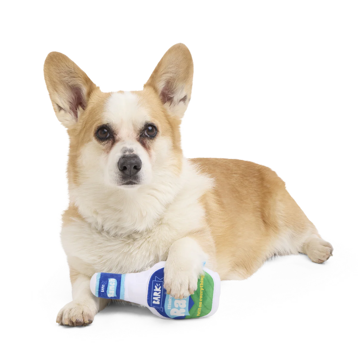 Stinky Valley Ranch Plush Dog Toy - Image 4