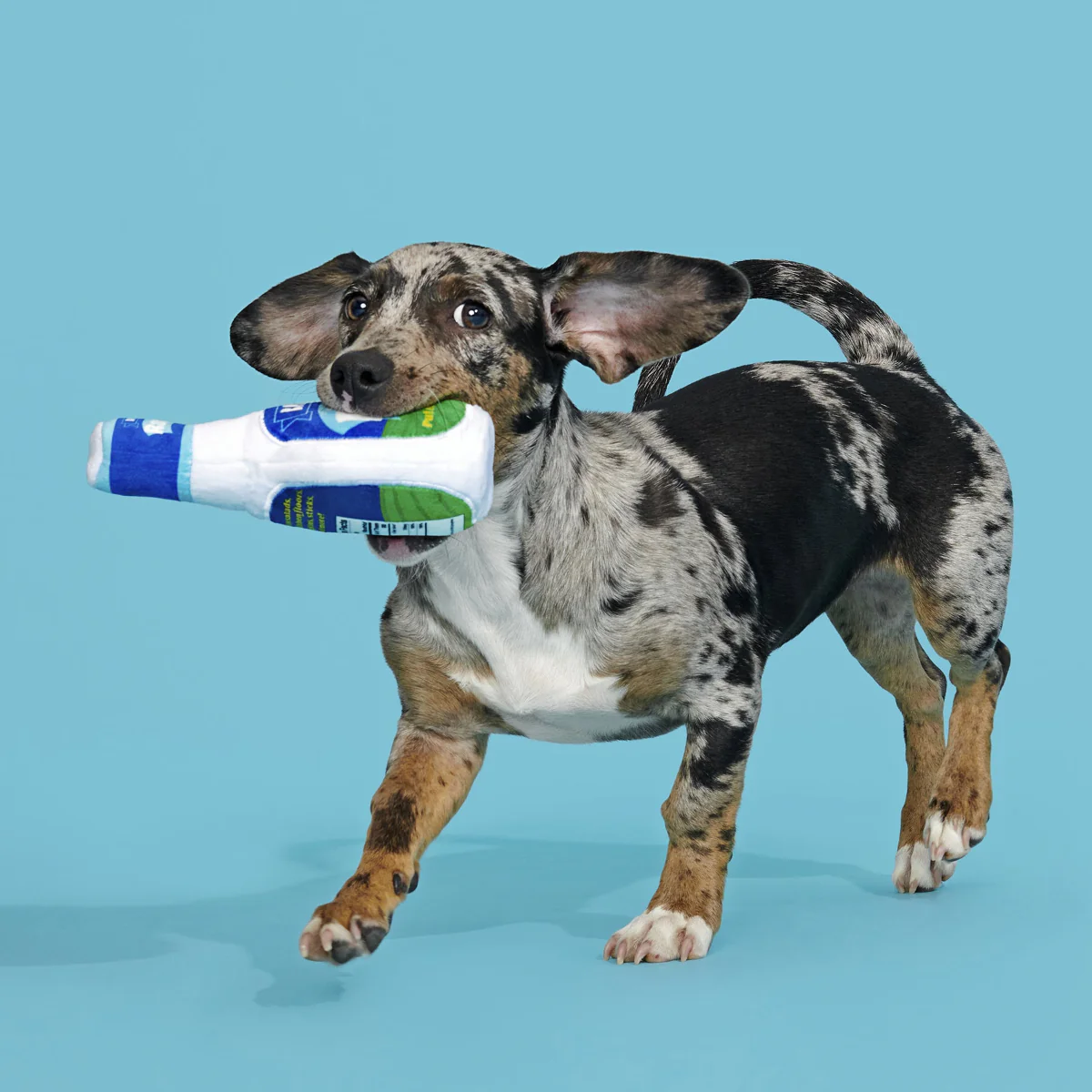 Stinky Valley Ranch Plush Dog Toy - Image 5