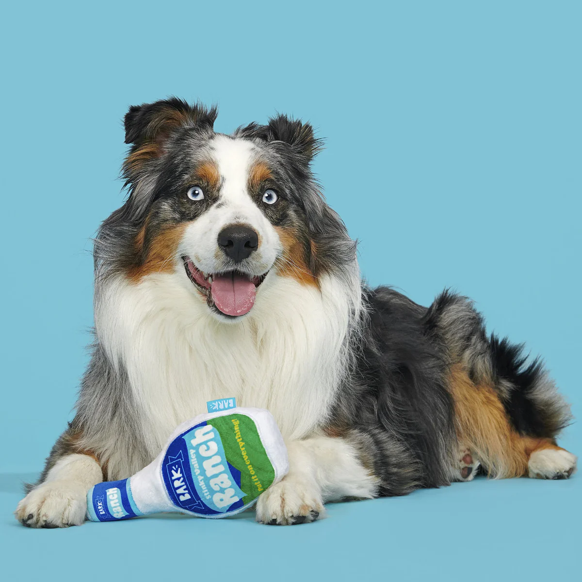 Stinky Valley Ranch Plush Dog Toy - Image 8