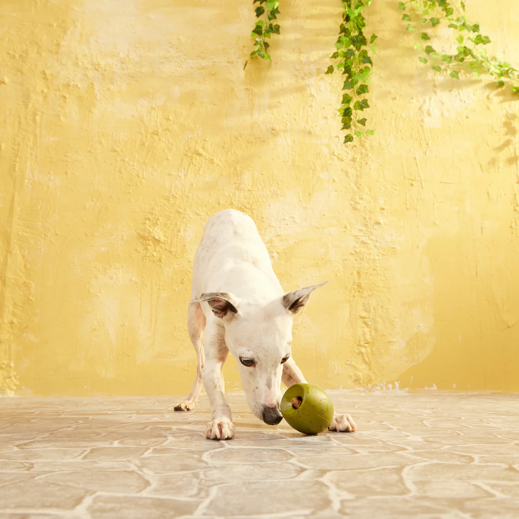 Stuffed Olive - Image 5