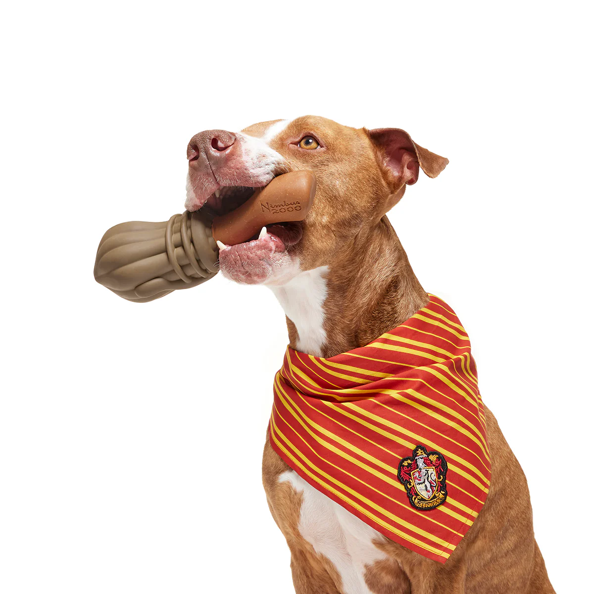Nimbus 2000™ Durable Super Chewer Tug + Fetch Dog Toy - Image 3
