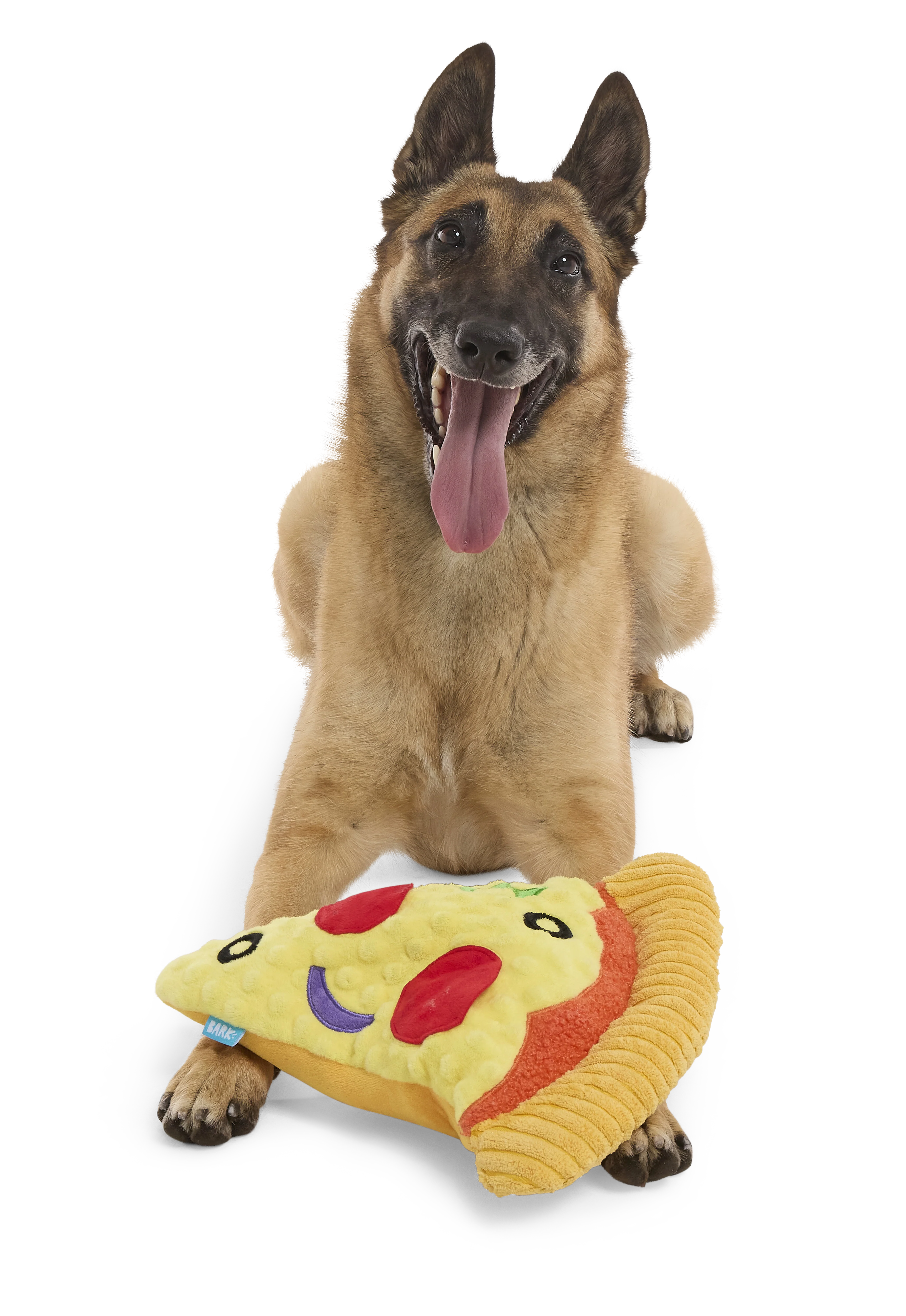 Supersize Slice Plush Extra-Large Dog Toy - Image 4