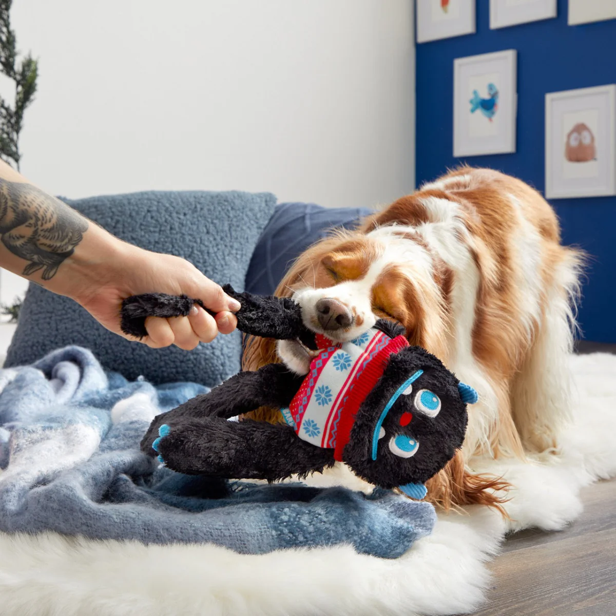 Sweaty Yeti Plush Extra-Large + Tug Dog Toy - Image 2