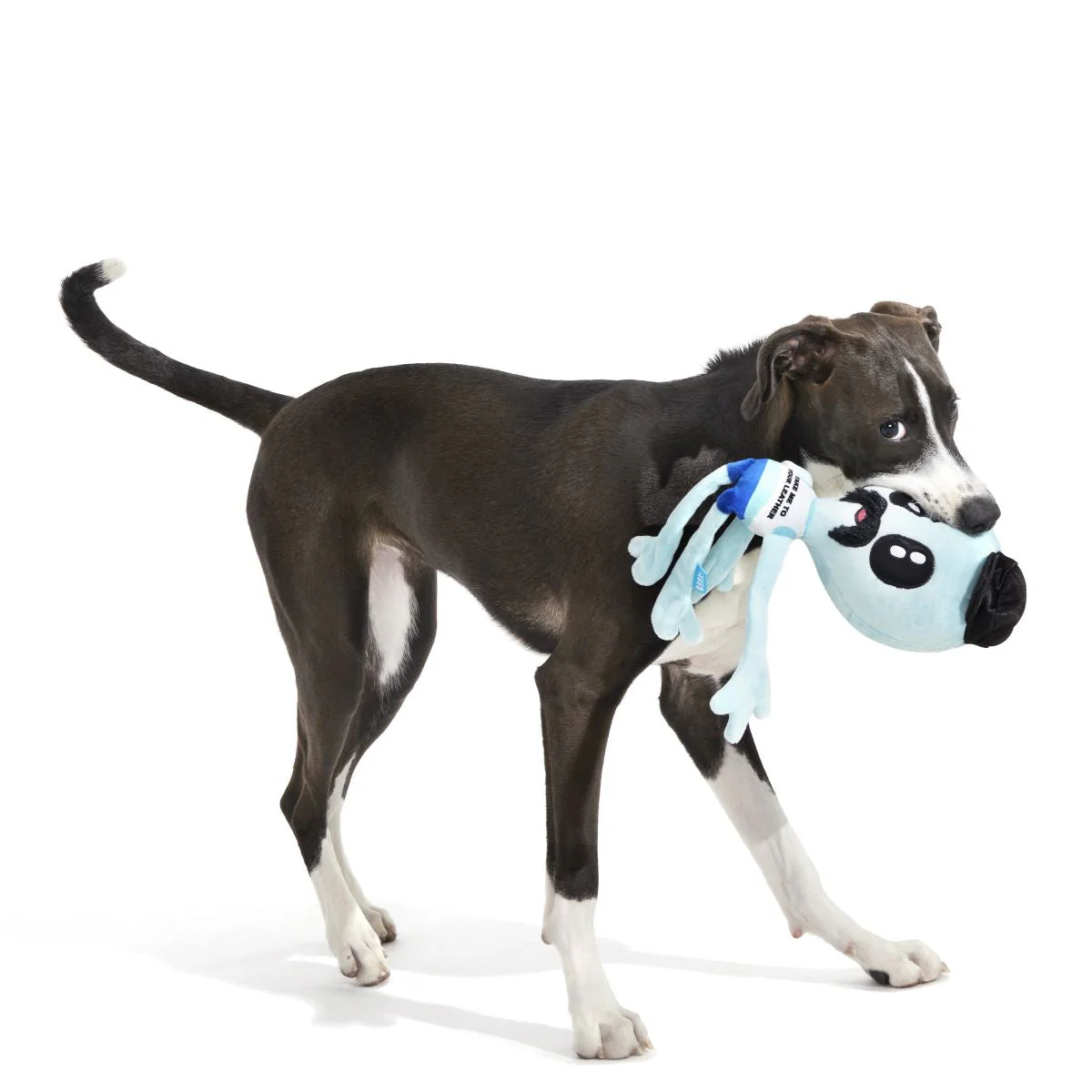 The Gaylien Plush 2-in-1 Dog Toy - Image 4