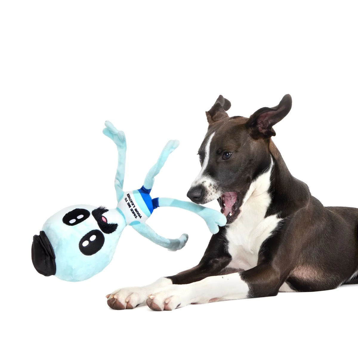 The Gaylien Plush 2-in-1 Dog Toy - Image 5