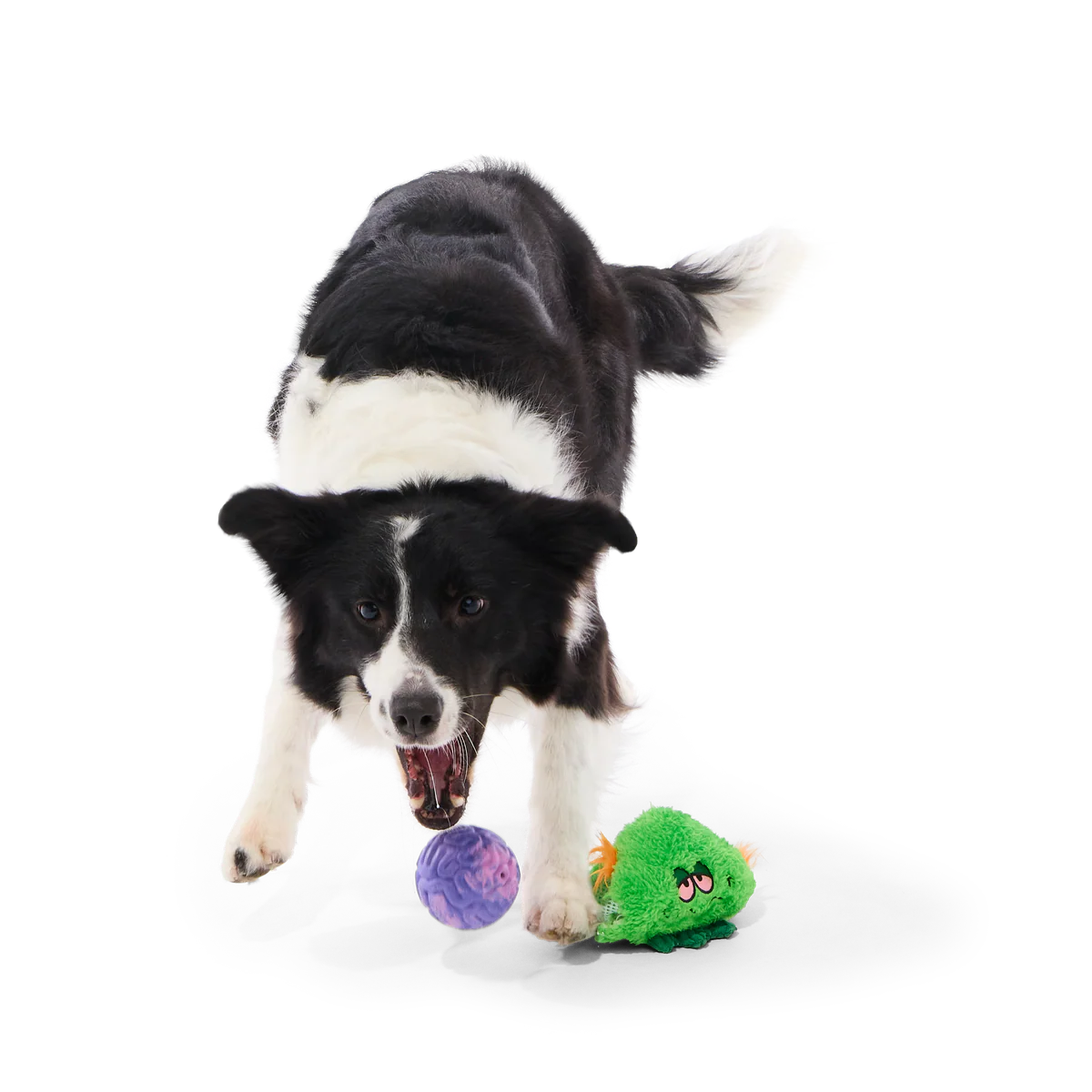 The Grim Reefer Super Chewer Durable 2-in-1 + Fetch Dog Toy - Image 3