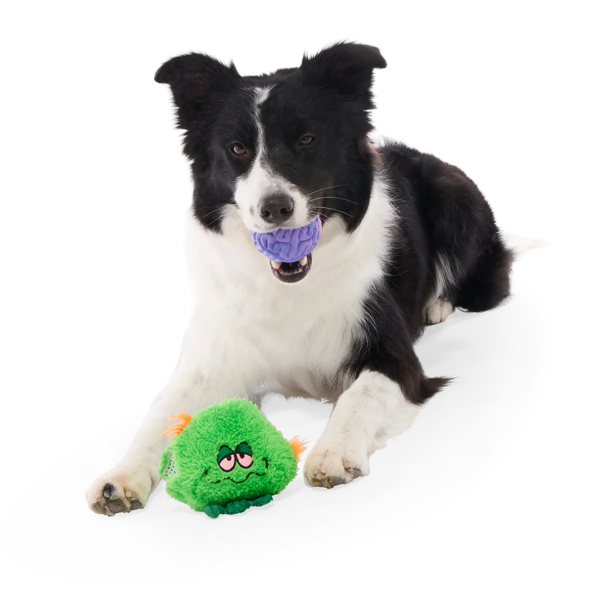 The Grim Reefer Super Chewer Durable 2-in-1 + Fetch Dog Toy - Image 4