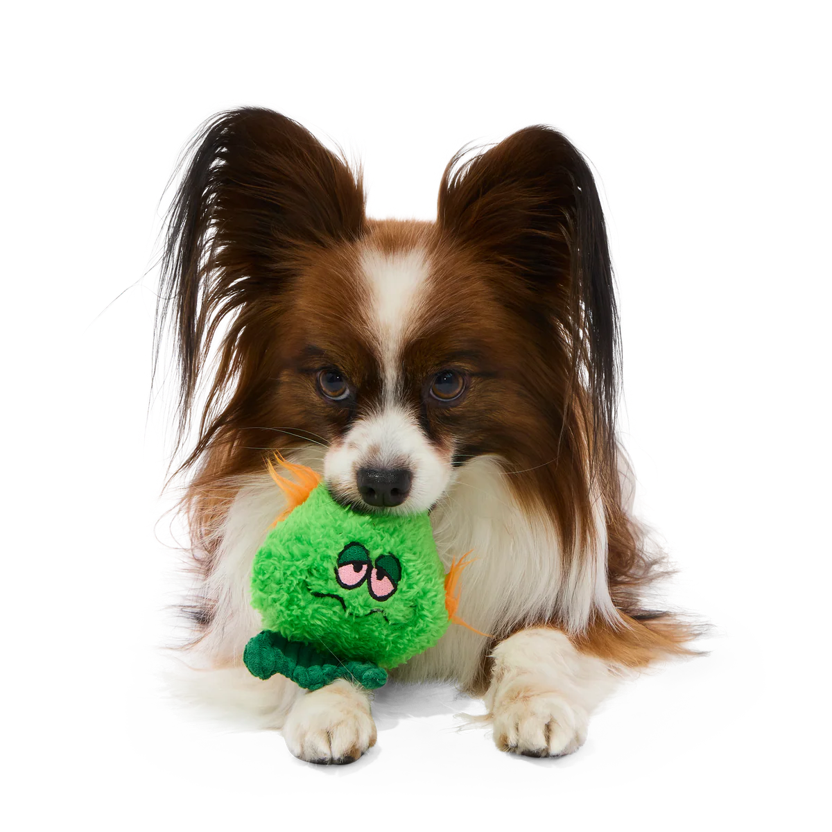 The Grim Reefer Super Chewer Durable 2-in-1 + Fetch Dog Toy - Image 5