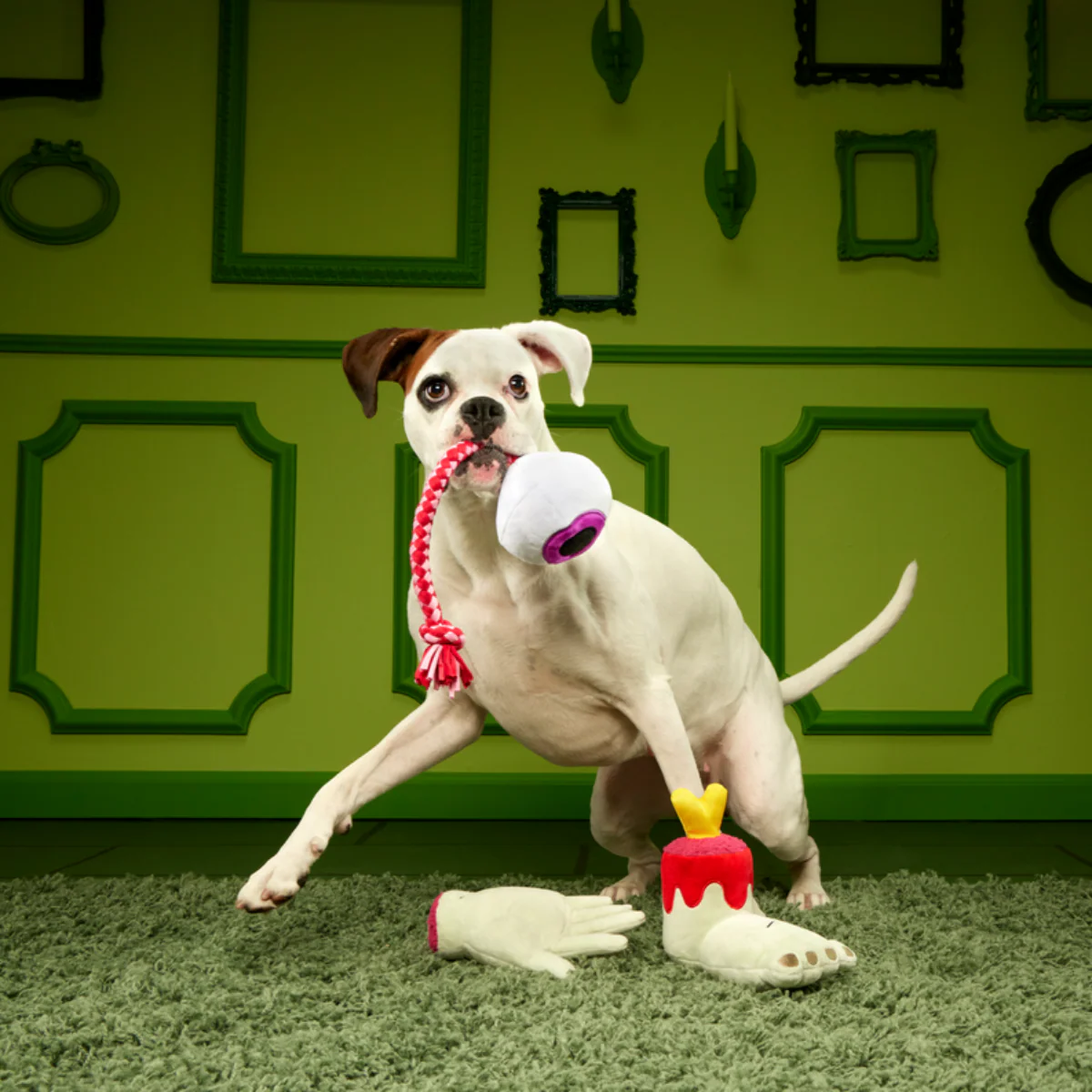 The Part-y Pack Super Chewer Durable Multi-Part + Tug Dog Toy - Image 3