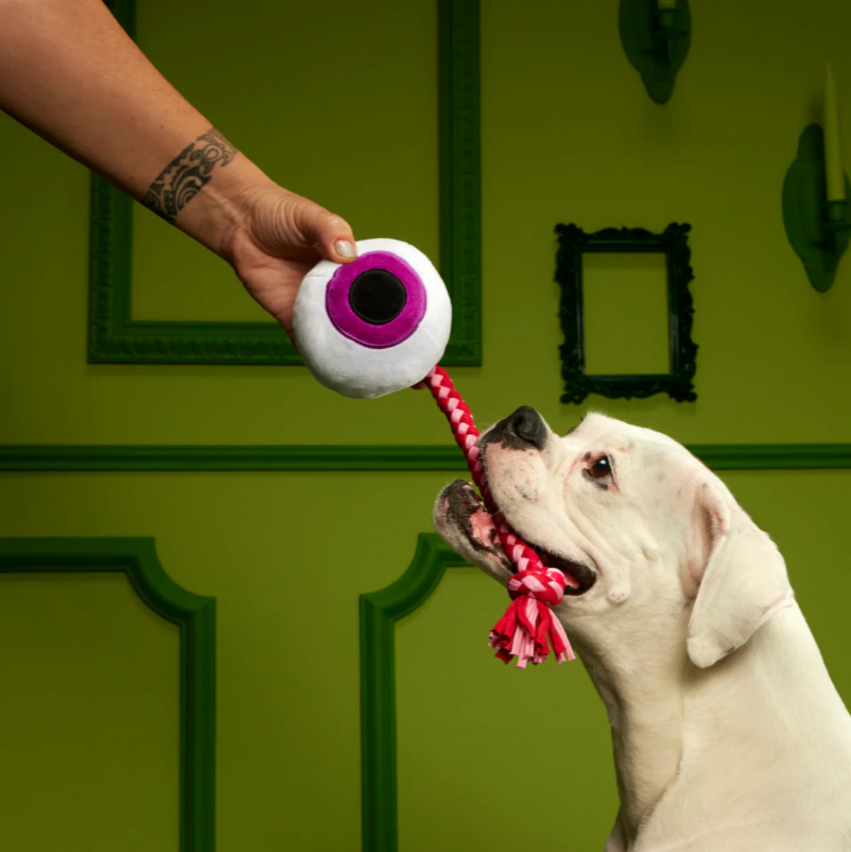 The Part-y Pack Super Chewer Durable Multi-Part + Tug Dog Toy - Image 4