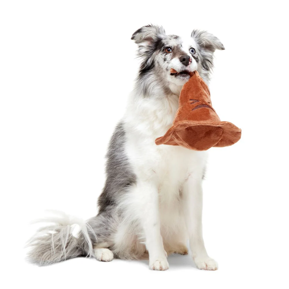 The Sorting Hat™ - Image 2