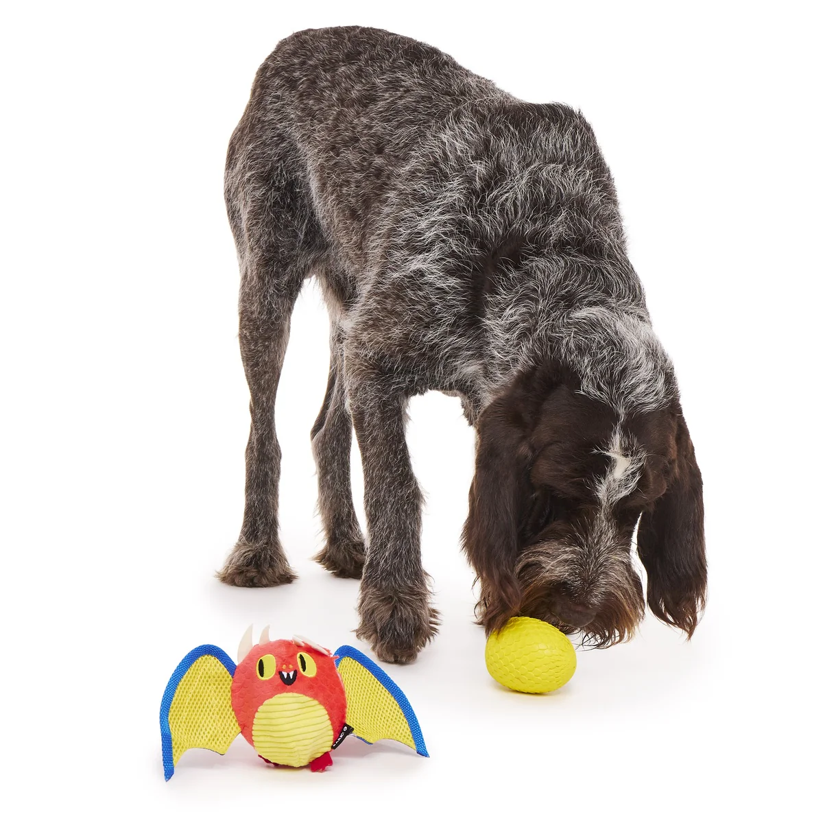 Thiccwing the Dragon Super Chewer Durable 2-in-1 + Fetch Dog Toy - Image 2