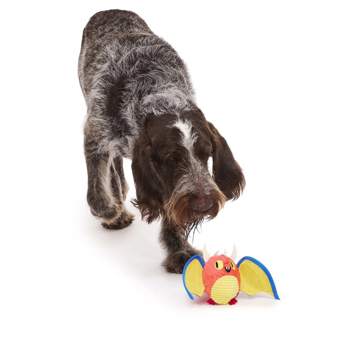 Thiccwing the Dragon Super Chewer Durable 2-in-1 + Fetch Dog Toy - Image 5