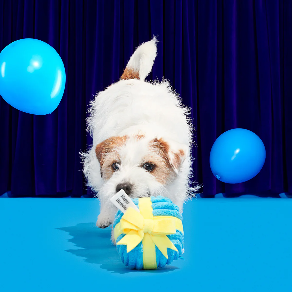 Throw A Party Present Plush 2-in-1 Rip and Reveal Dog Toy - Image 3