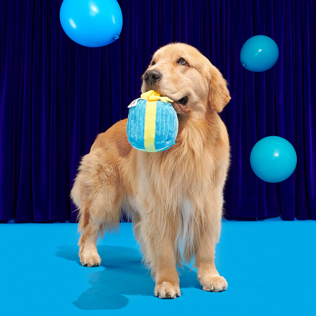 Throw A Party Present Plush 2-in-1 Rip and Reveal Dog Toy - Image 4