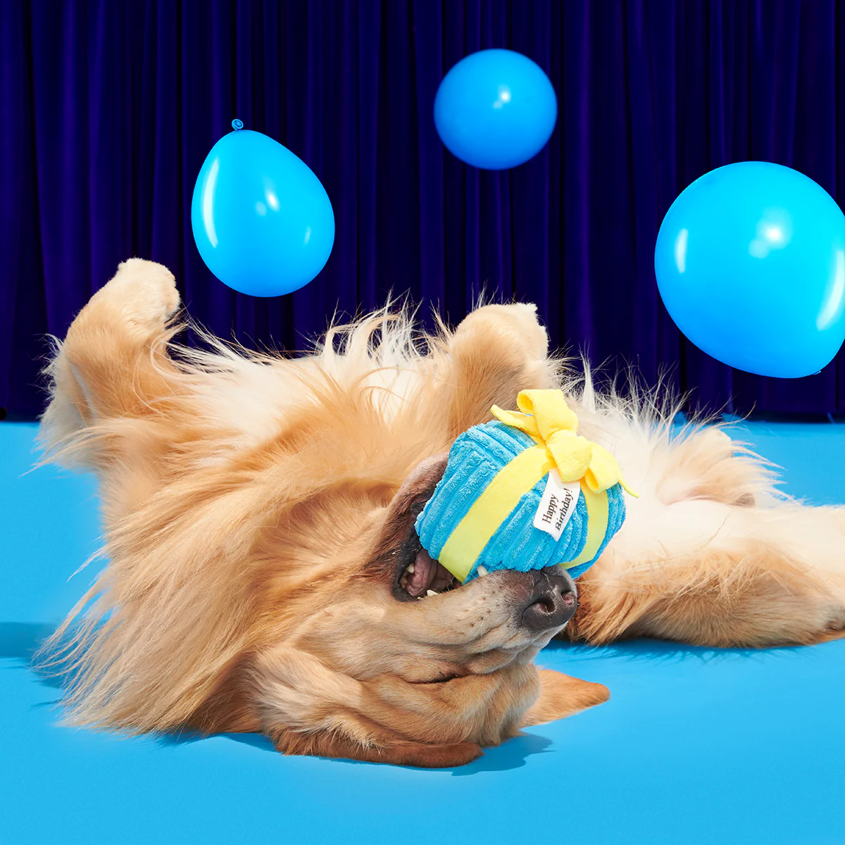 Throw A Party Present Plush 2-in-1 Rip and Reveal Dog Toy - Image 5