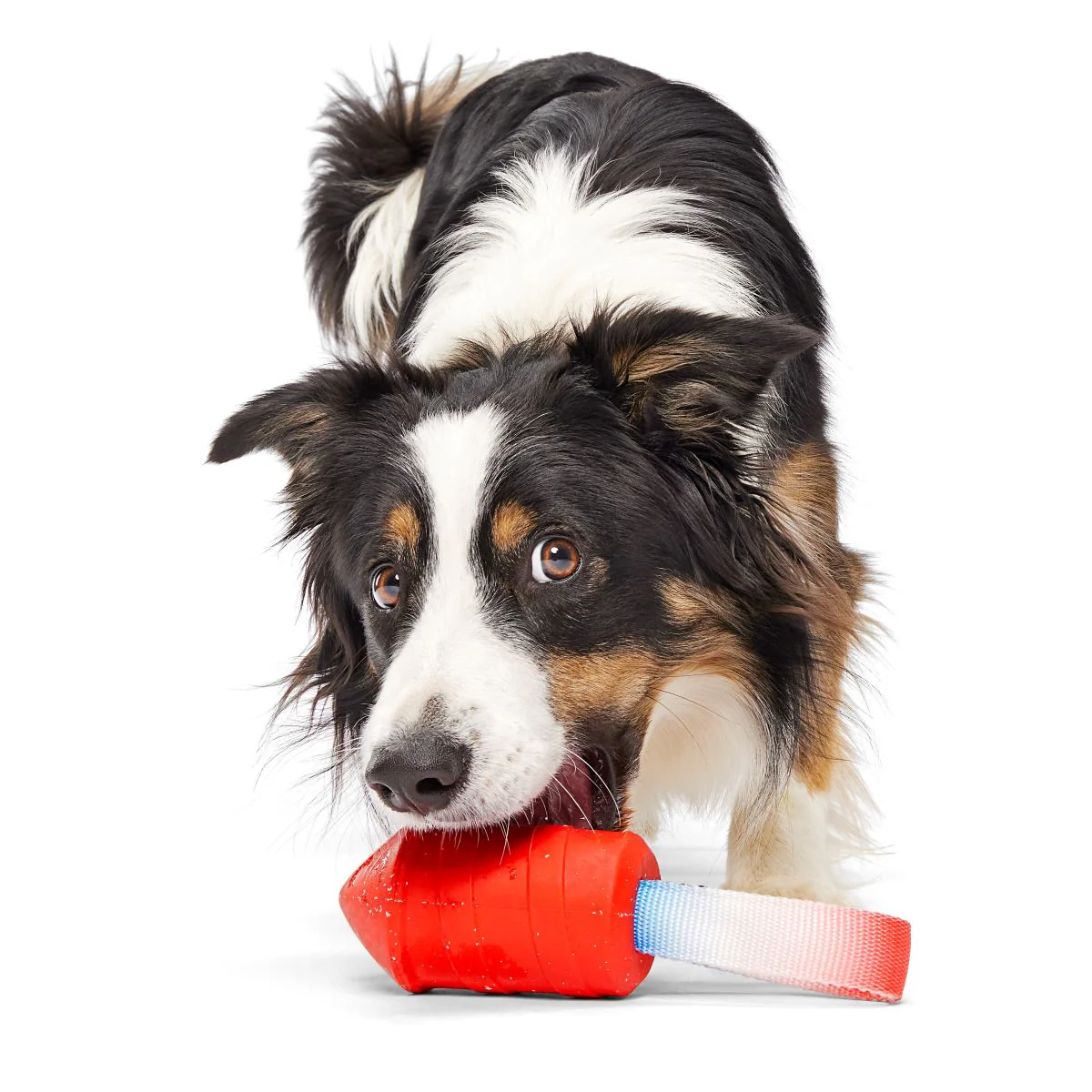 Throwman Candle Durable Super Chewer Tug Dog Toy - Image 5