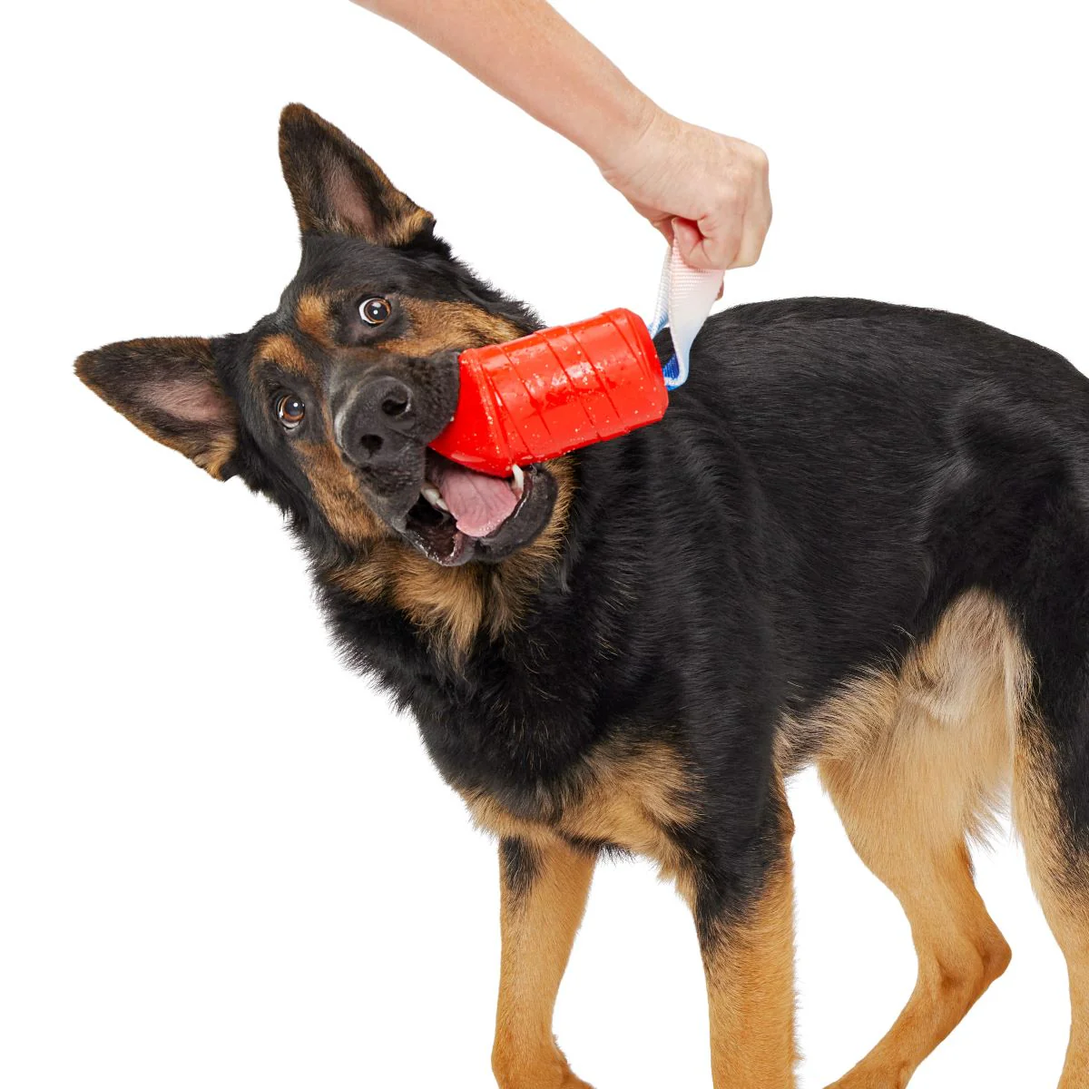 Throwman Candle Durable Super Chewer Tug Dog Toy - Image 6