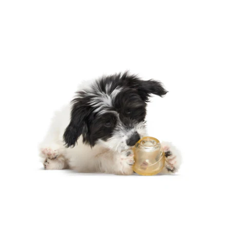 Tipsy Toast Glass Durable Super Chewer Enrichment Dog Toy - Image 3