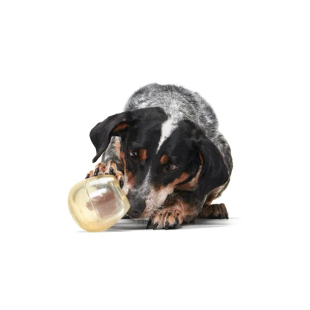 Tipsy Toast Glass Durable Super Chewer Enrichment Dog Toy - Image 4