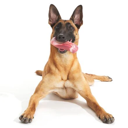 Tough Break Bacon Super Chewer Durable Gnaw Dog Toy - Image 2