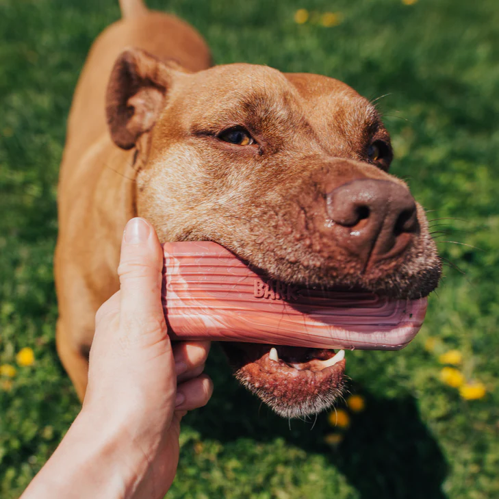 Tough Break Bacon Super Chewer Durable Gnaw Dog Toy - Image 3