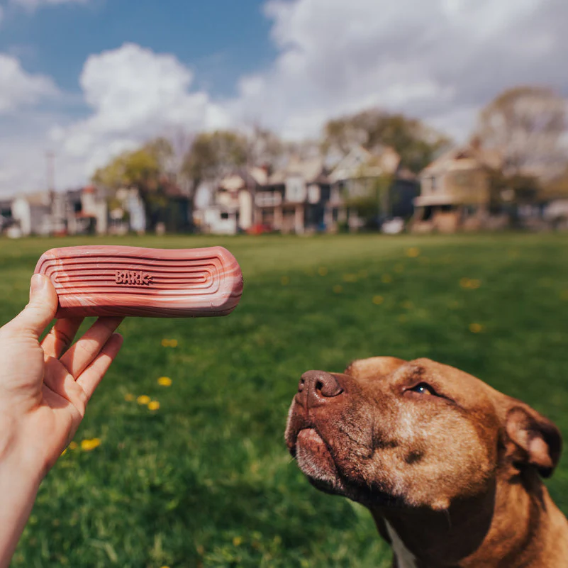 Tough Break Bacon Super Chewer Durable Gnaw Dog Toy - Image 4