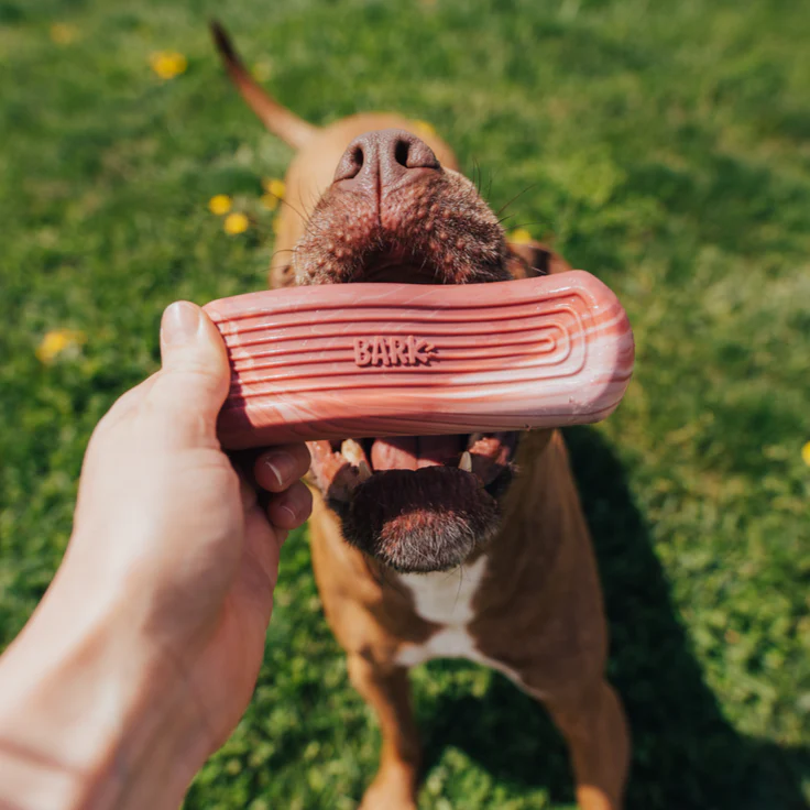 Tough Break Bacon Super Chewer Durable Gnaw Dog Toy - Image 5