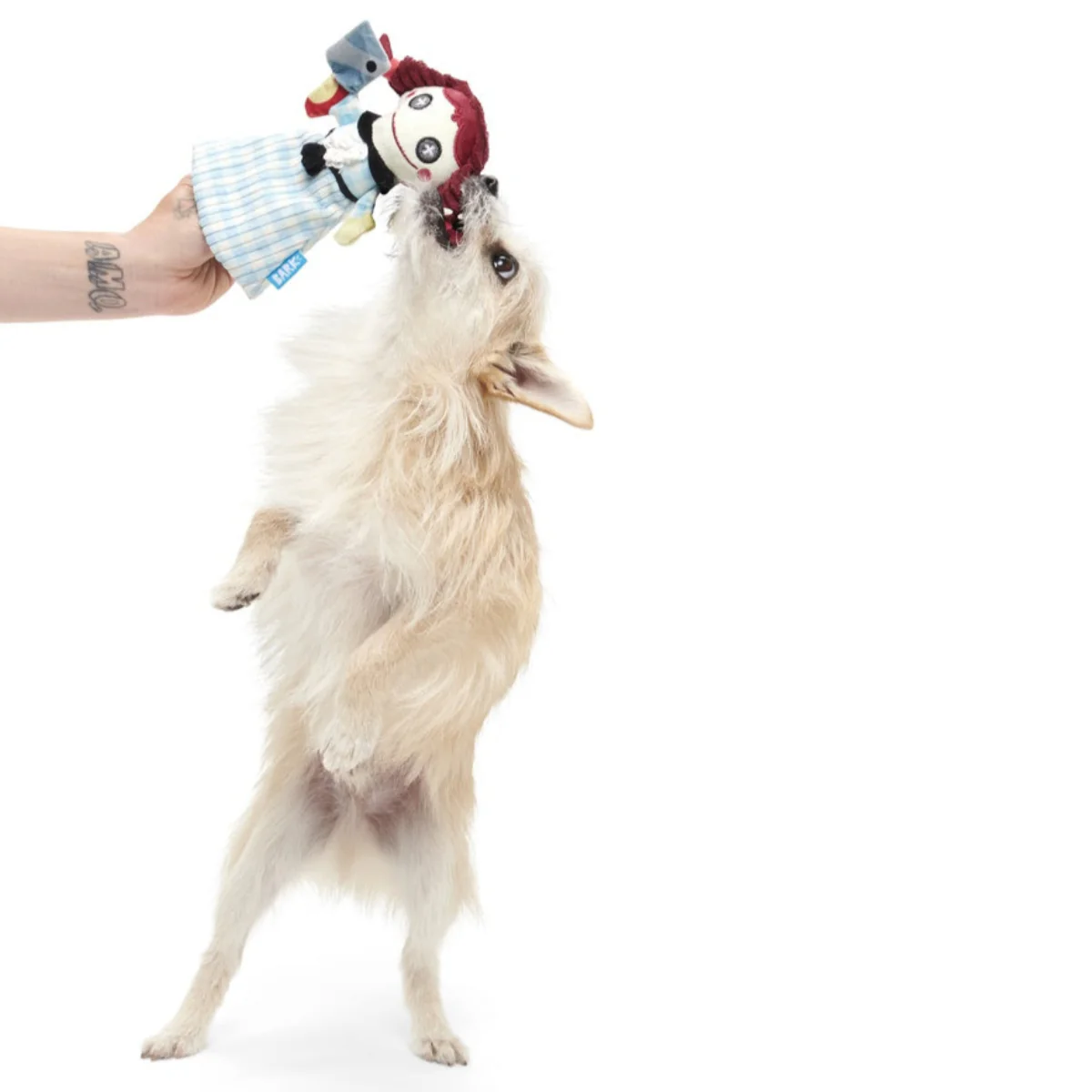 Tragedy Ann Plush Tug Dog Toy - Image 5