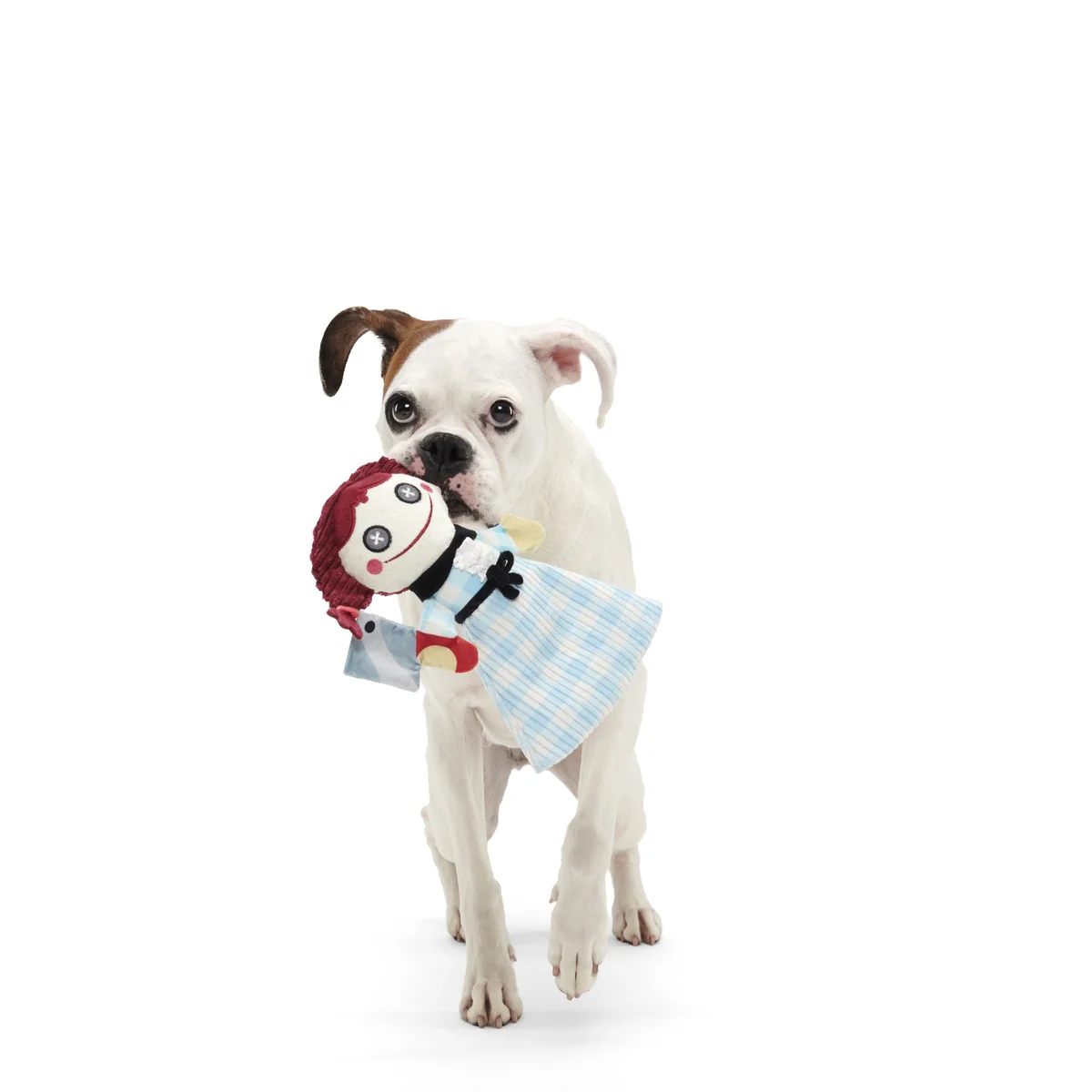 Tragedy Ann Plush Tug Dog Toy - Image 6