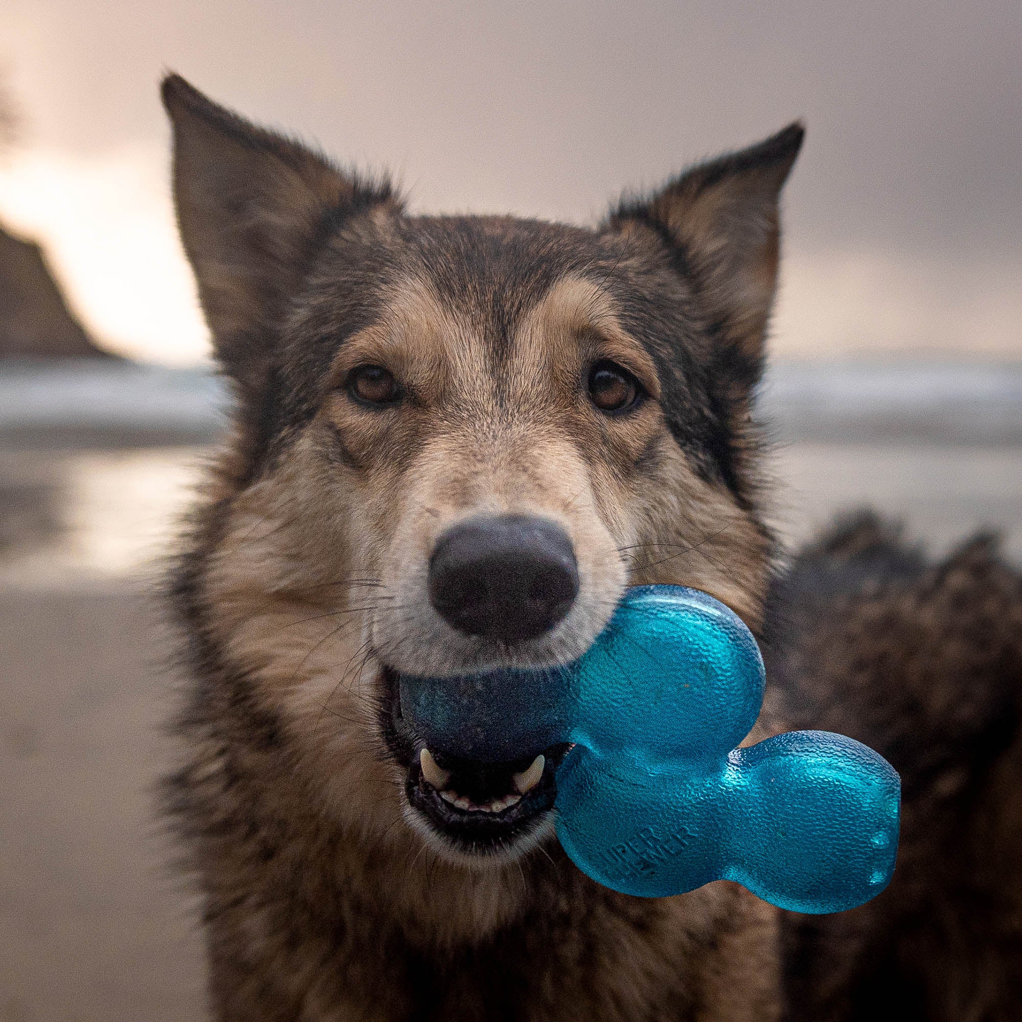 Treat Giver River Super Chewer Durable Enrichment Dog Toy - Image 4