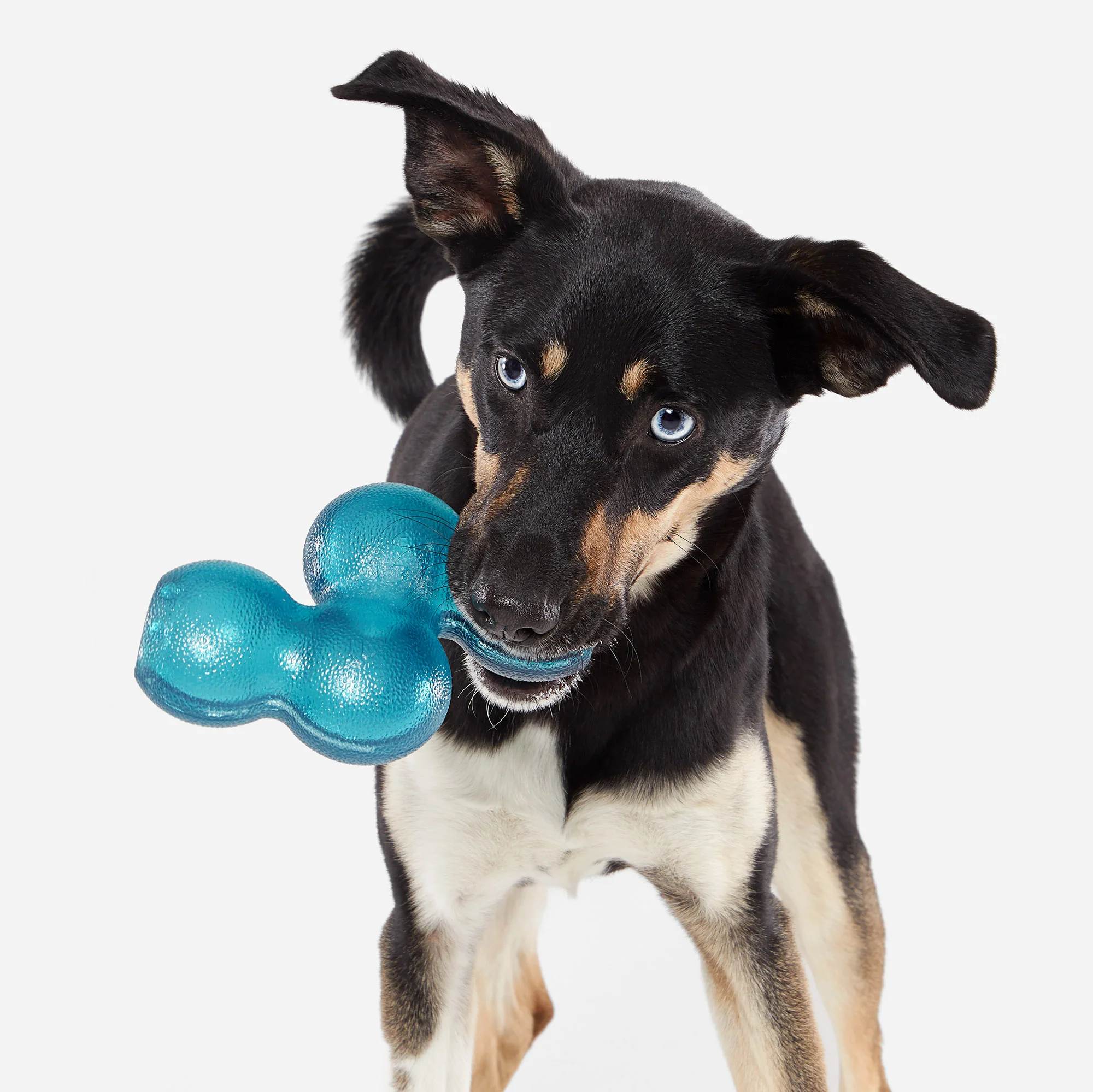 Treat Giver River Super Chewer Durable Enrichment Dog Toy - Image 5