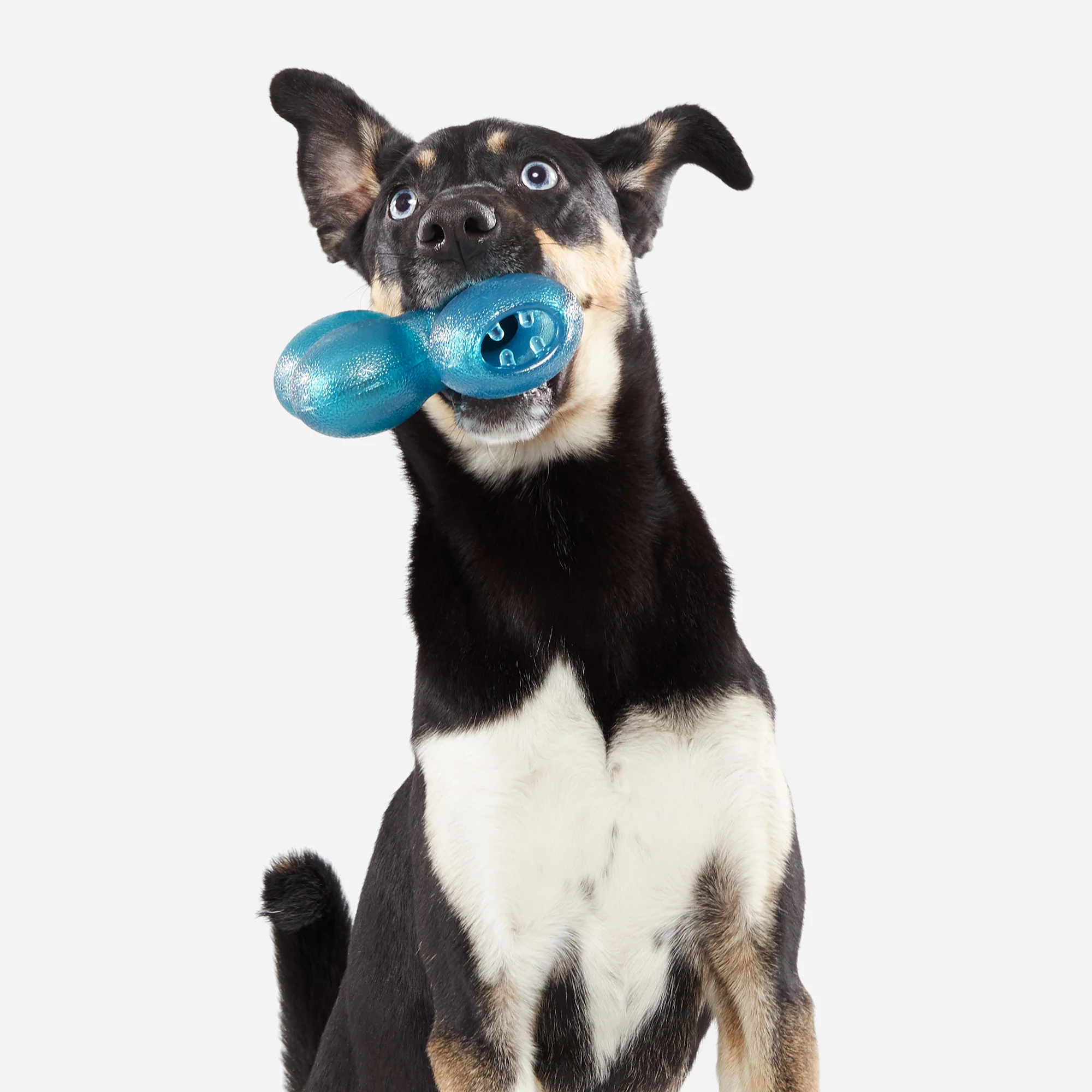 Treat Giver River Super Chewer Durable Enrichment Dog Toy - Image 7