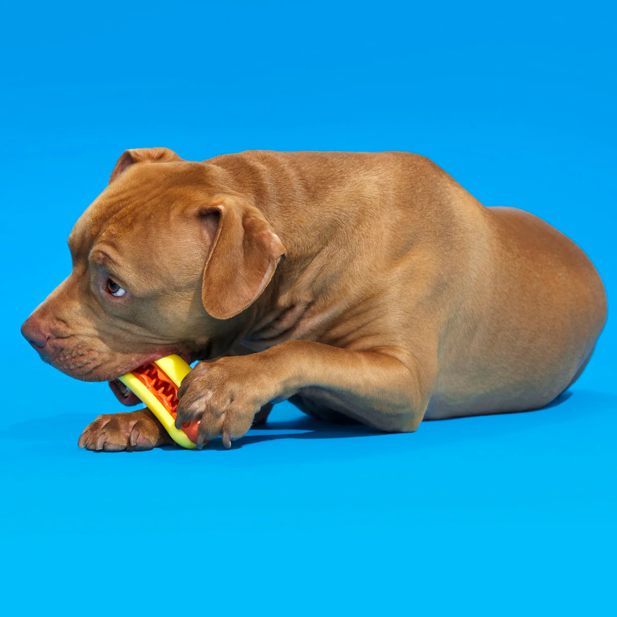 Treat Meat Hot Dog Durable Super Chewer Dog Toy - Image 2