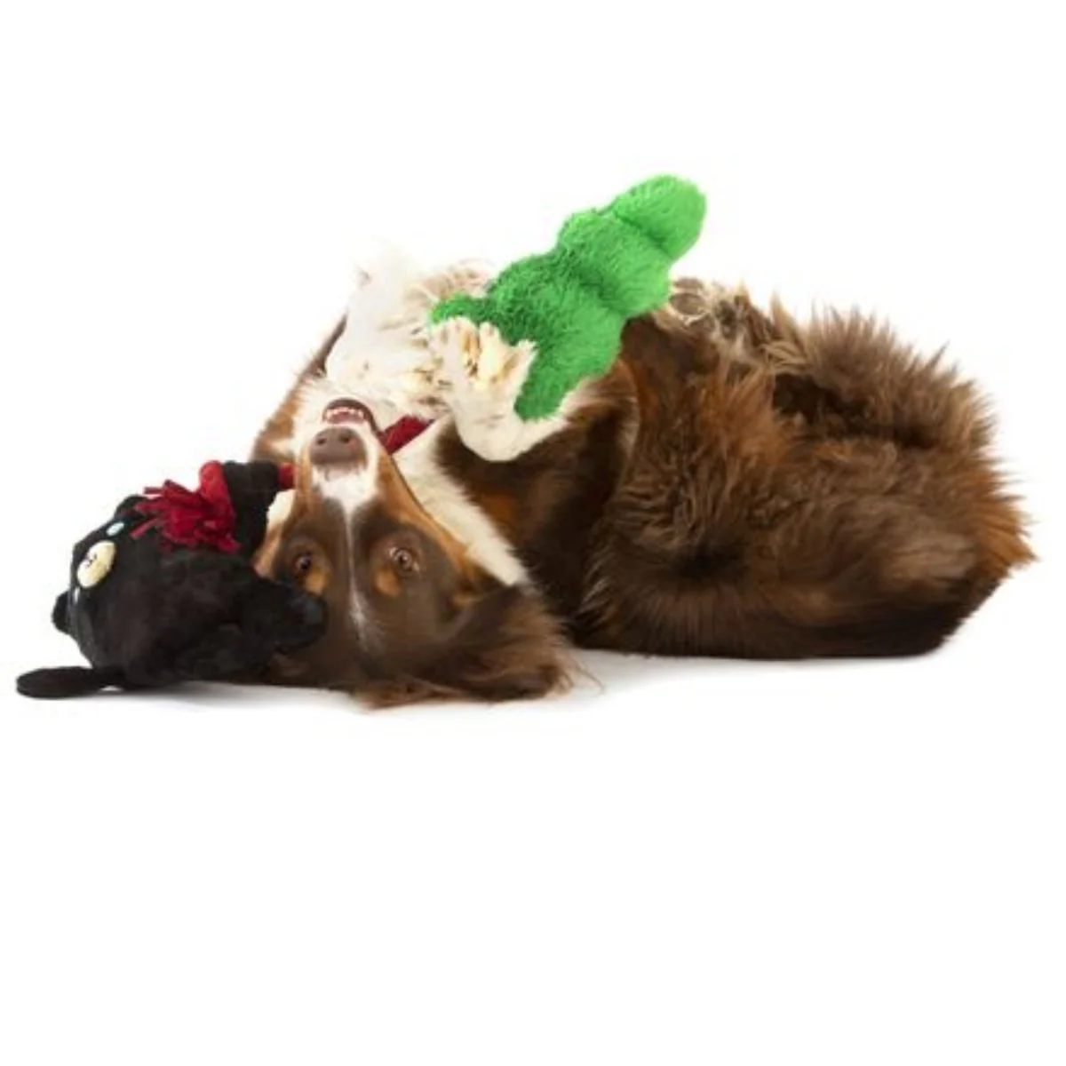 Tree Huggin’ Terry Plush Tug Dog Toy - Image 3