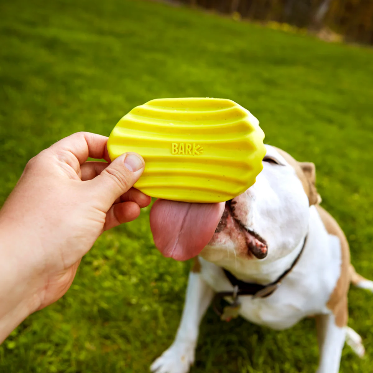 Tuffles Potato Chip Super Chewer Durable Dog Toy - Image 3