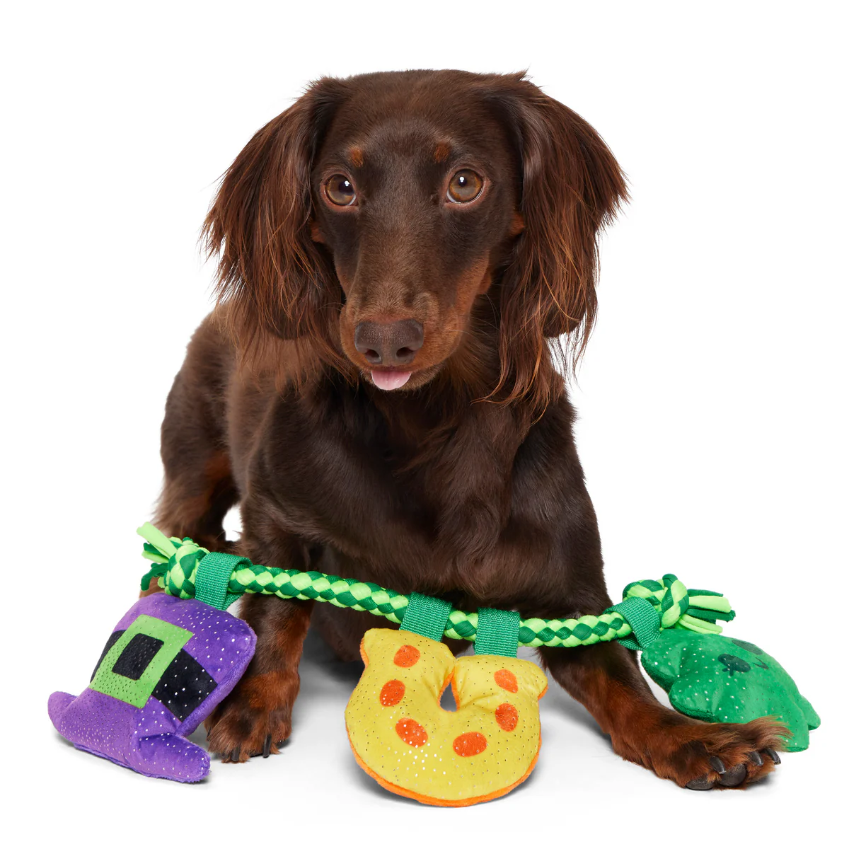 Tuggy Charms Plush Tug Dog Toy - Image 2