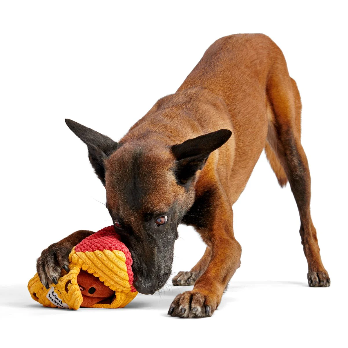 Turdbert's Snouthouse Plush Multi-Part + Enrichment Dog Toy - Image 5