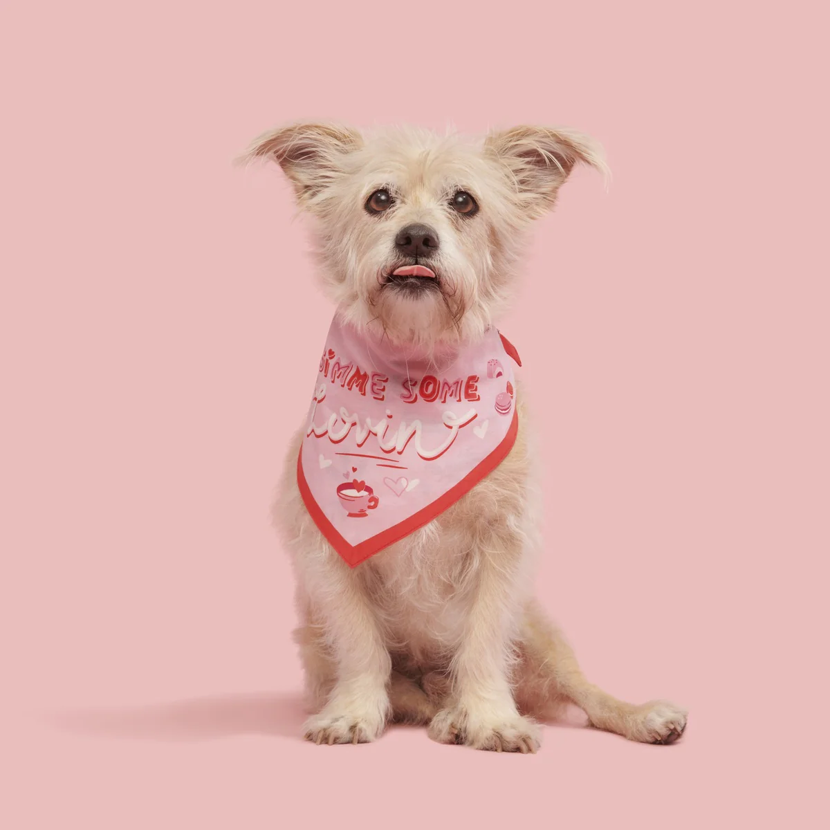 Valentine's Day Dog Bandana - Image 2